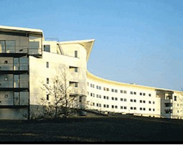 贝德福德学校